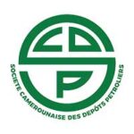 scdp